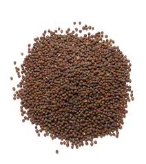 Mustard Seeds Manufacturer Supplier Wholesale Exporter Importer Buyer Trader Retailer in Amreli Gujarat India